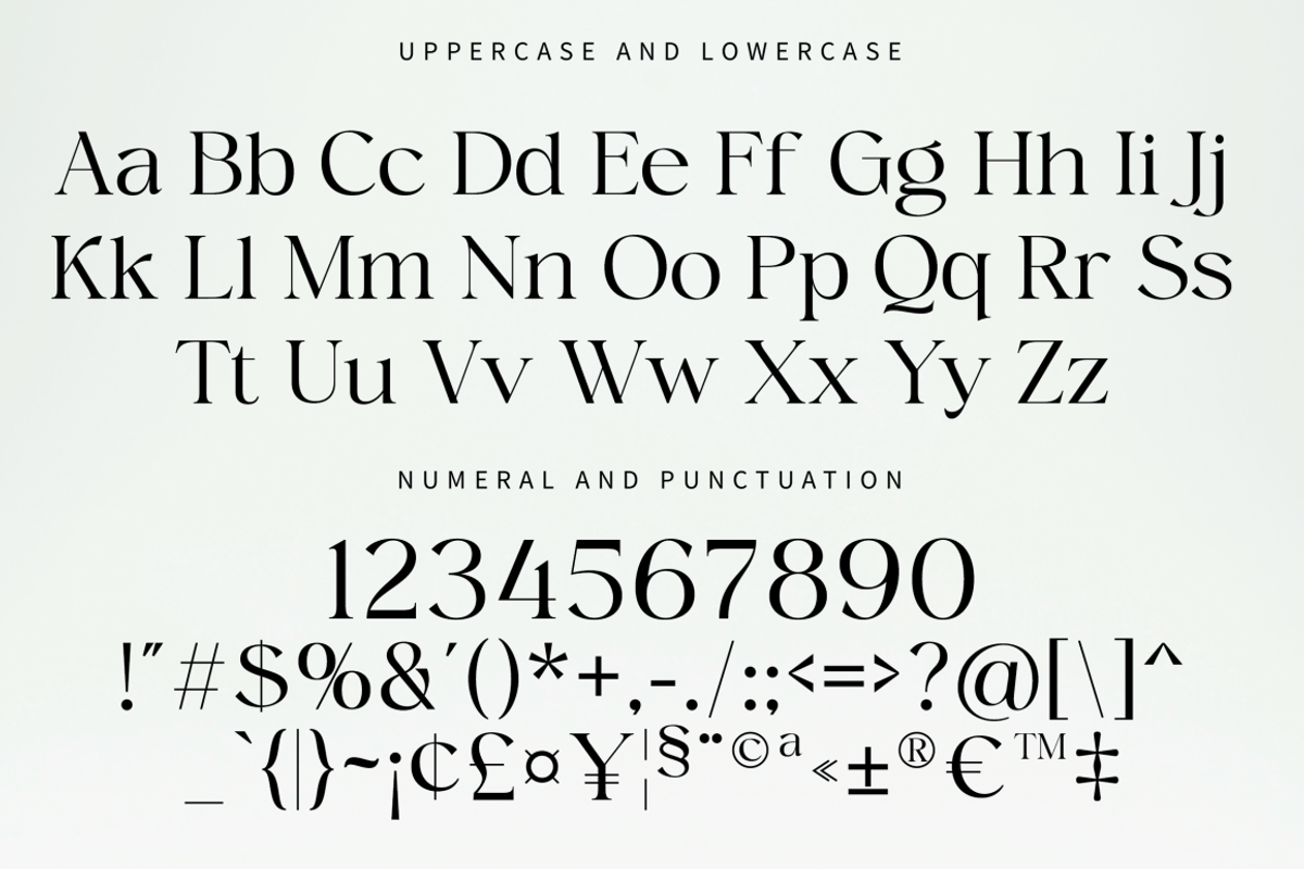 Megalky | Modern Elegant Serif Font, a Serif Font by Rissyletter Studio (Photo 10 of 12)