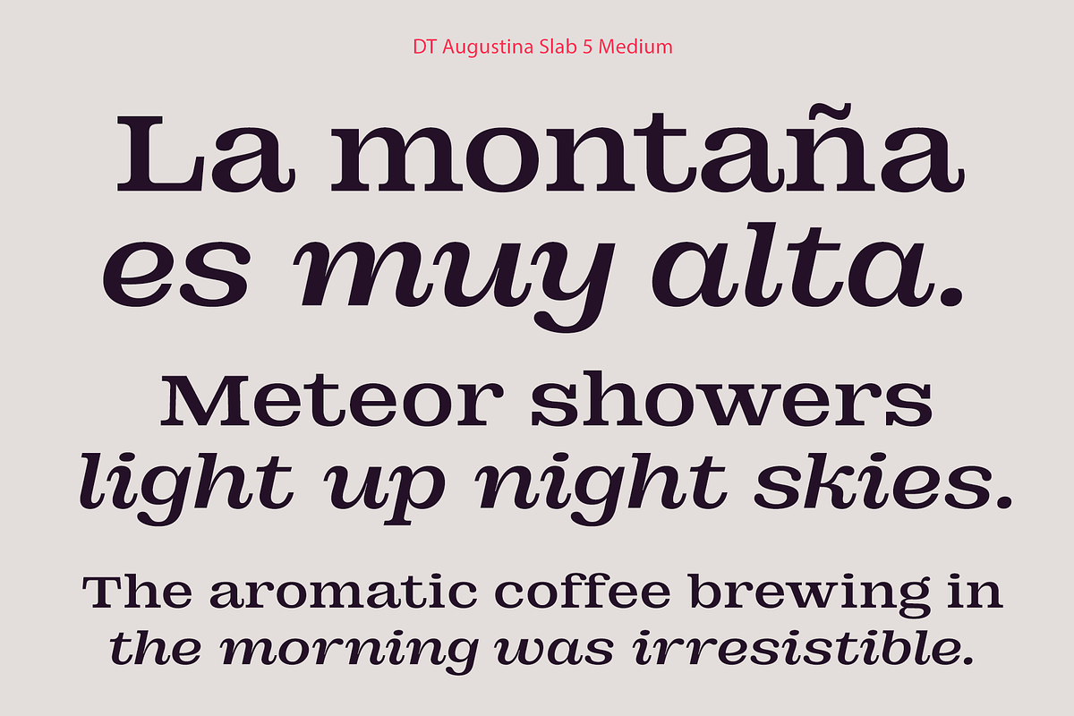 DT Augustina Slab 5 Subfamily, a Slab Serif Font by Deveze Type Foundry (Photo 9 of 31)