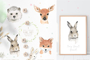 watercolor forest animal portraits, an Animal Illustration by beehouse studio (Thumbnail 2 of 11)