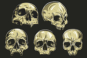 Skulls Vector Set, an Illustration by BusOne (Thumbnail 1 of 4)