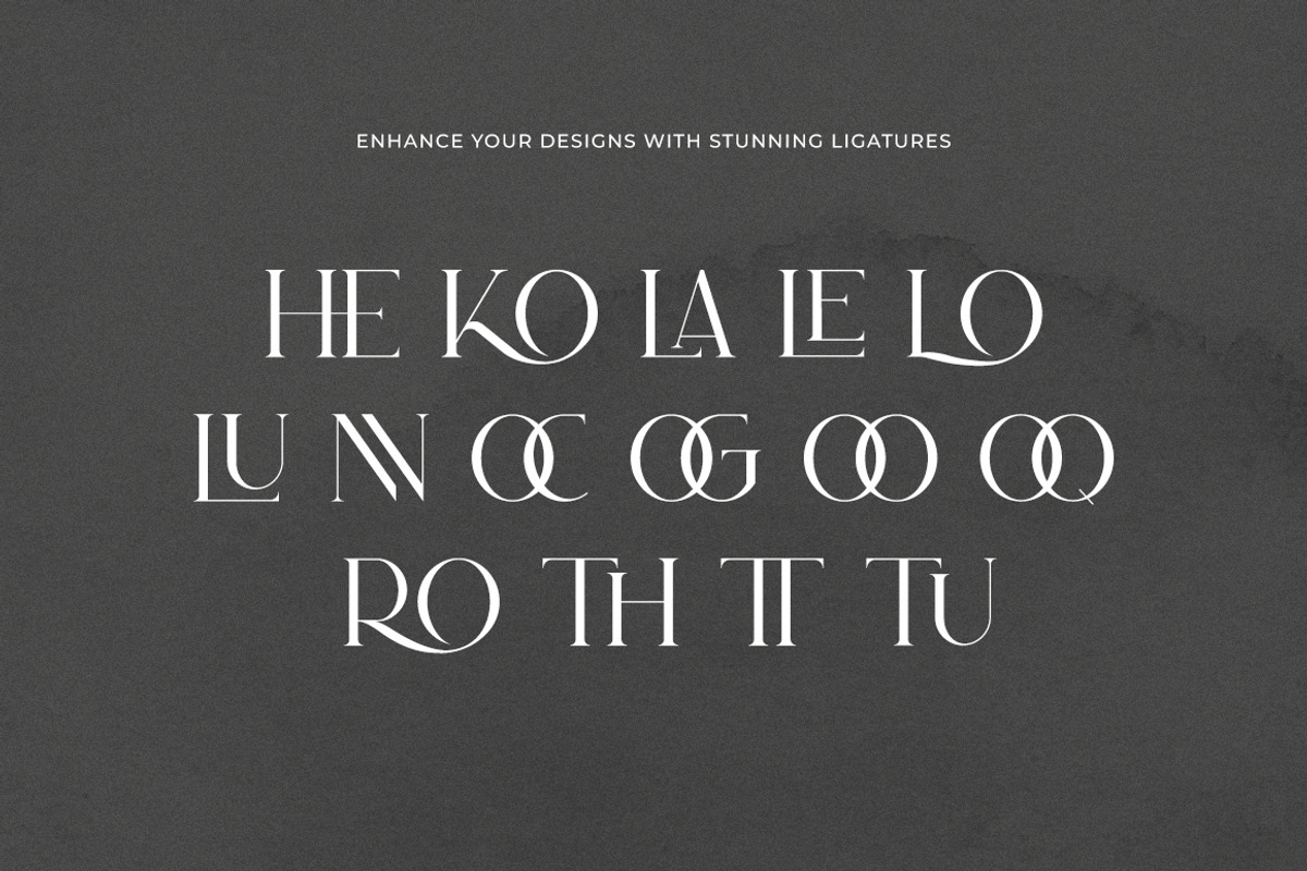 Gloré Modern Ligature Font, a Serif Font by Heinzel Std (Photo 5 of 18)