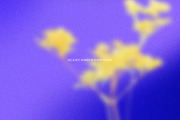 Bold Bloom – Floral Backgrounds, a Background Graphic by StudioMorf (Thumbnail 8 of 14)