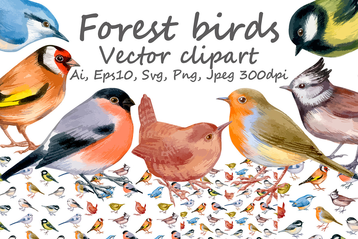 Small forest birds - vector clipart, an Animal Illustration by ViktoriArt (Photo 1 of 6)