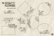 Botany Line Art Collection, a Decorative Illustration by Skliarova (Thumbnail 7 of 10)