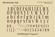 Shifer Blastone - Elegant Serif Font, a Serif Font by Say Studio (Thumbnail 9 of 10)