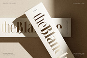 LaRuja - Light & Bold Serif Duo, a Serif Font by SilverStag Type Foundry (Thumbnail 2 of 17)