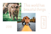 Elegant - Font Collection - 7 Fonts, a Sans Serif Font by CorgiAstronaut (Thumbnail 5 of 41)