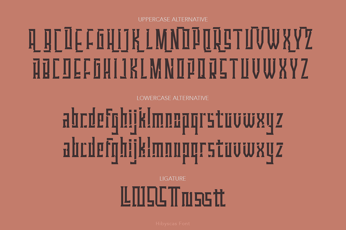 Hibyscas Font Duo, a Handwritten Font by madeDeduk (Photo 4 of 8)