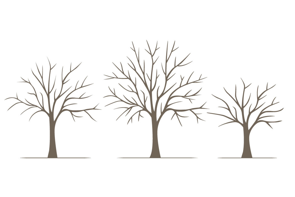 Leafy Trees, an Illustration by Illustrations by Jessie (Photo 2 of 3)