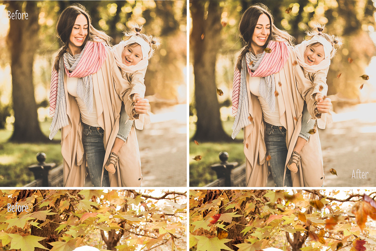 40 Autumn Leaves Overlays preview 3