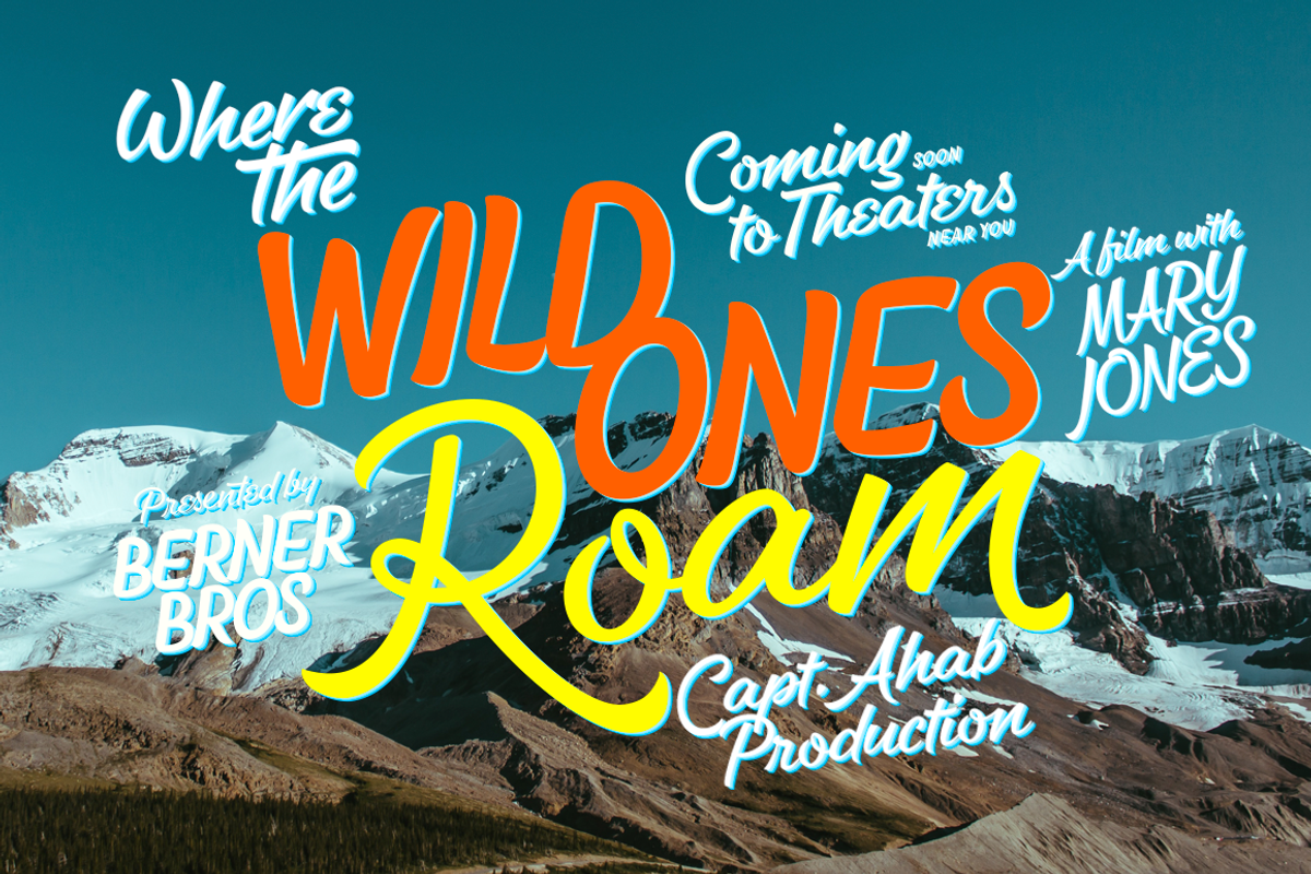 Dog Days Fonts & Extras 50% OFF! preview 5