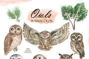 Watercolor Owls, an Animal Illustration by OlDm_Shop (Thumbnail 2 of 5)