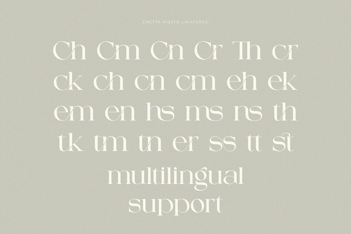 Chetta Vissto, a Serif Font by ToniStudio (Photo 9 of 9)
