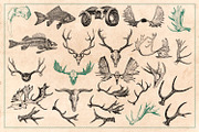 125 Vintage Animal Bones (Vector), an Animal Illustration by Brigantine Designs (Thumbnail 9 of 9)