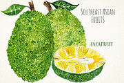 Tropical Asian fruits watercolors, a Food Illustration by LABFcreations (Thumbnail 4 of 6)