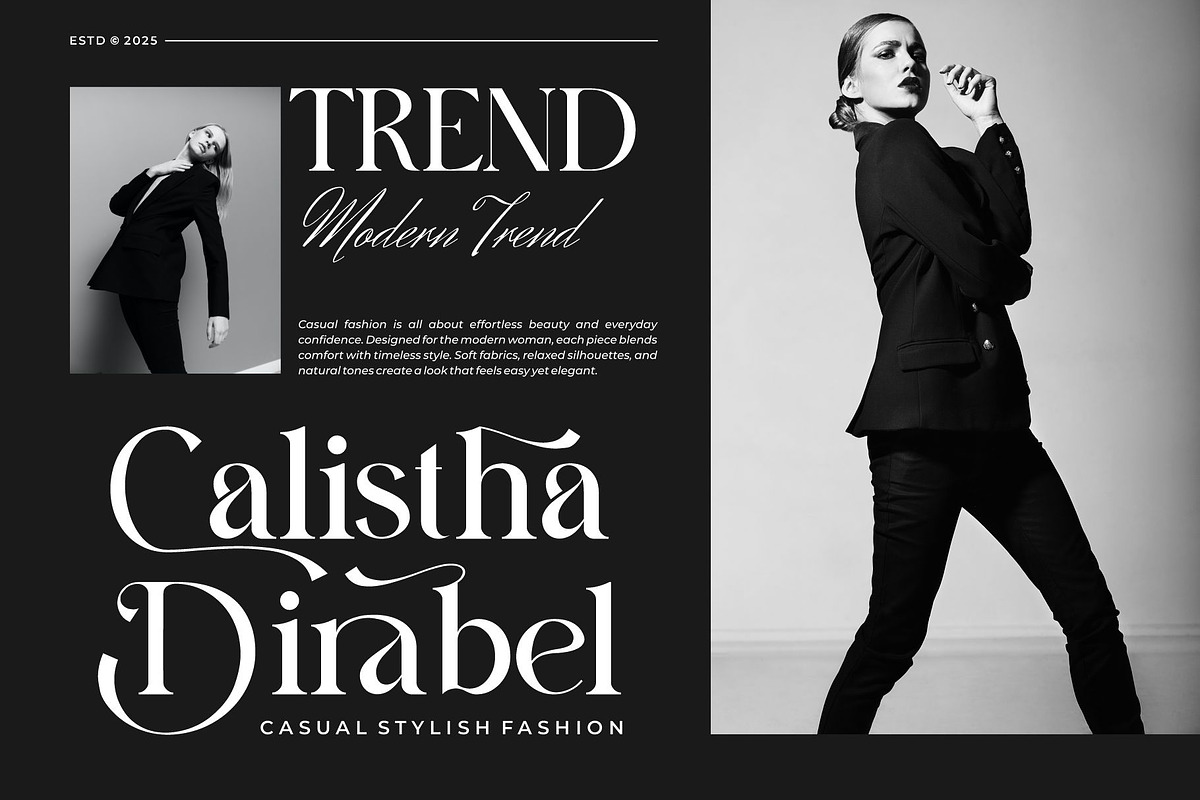 Arilaco || Modern Classy Serif Font, a Serif Font by Ermedia Studio (Photo 3 of 10)
