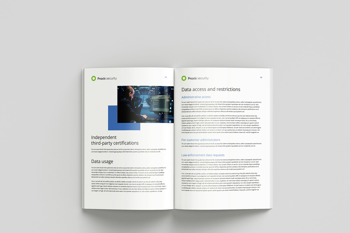 White Paper Template, a Brochure Template by azadcsstune (Photo 6 of 13)