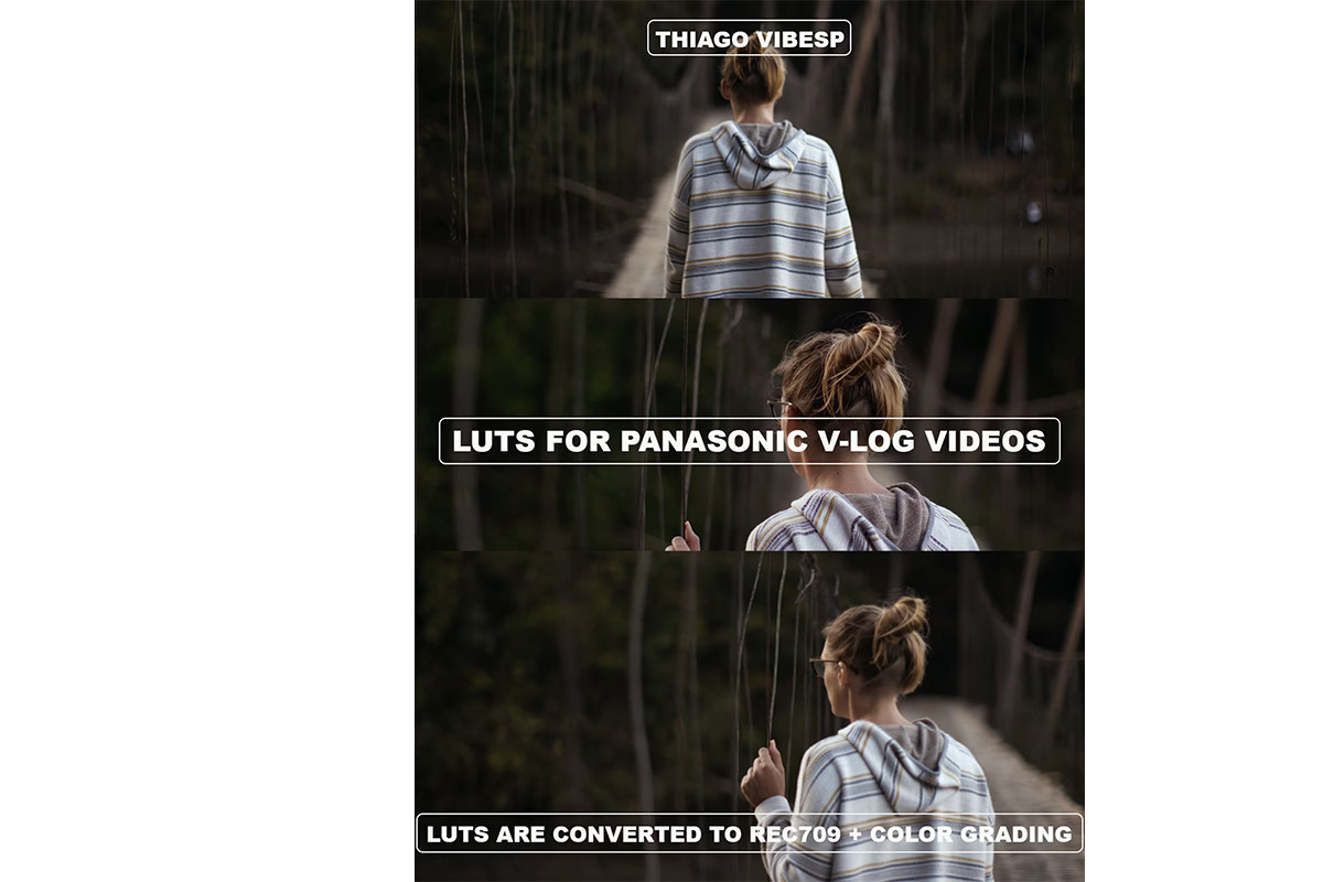 Film Looks Panasonic V-Log LUTs, a Preset Add-On by Creative House (Photo 1 of 4)