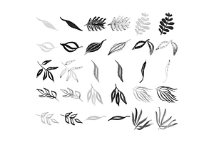 Procreate Foliage Stamp Brushes