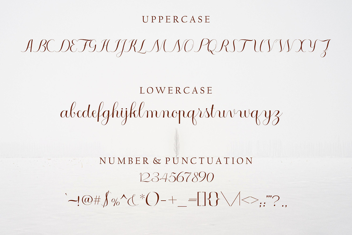Ristretto, a Script Font by Funtype (Photo 7 of 8)