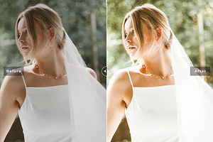 Cornsilk Pro Lightroom Presets