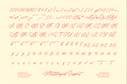 Akmelyn Beridge Bold Calligraphy, a Script Font by Letterena Studios Script (Thumbnail 19 of 20)