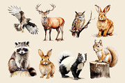 Watercolor Woodland Animals Clipart, an Animal Illustration by Primrose Blume (Thumbnail 3 of 8)