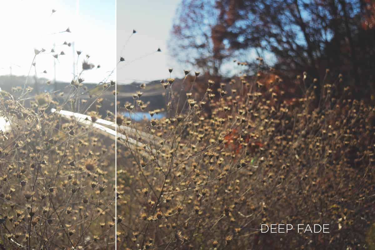 Fall Tones Photoshop Actions preview 7