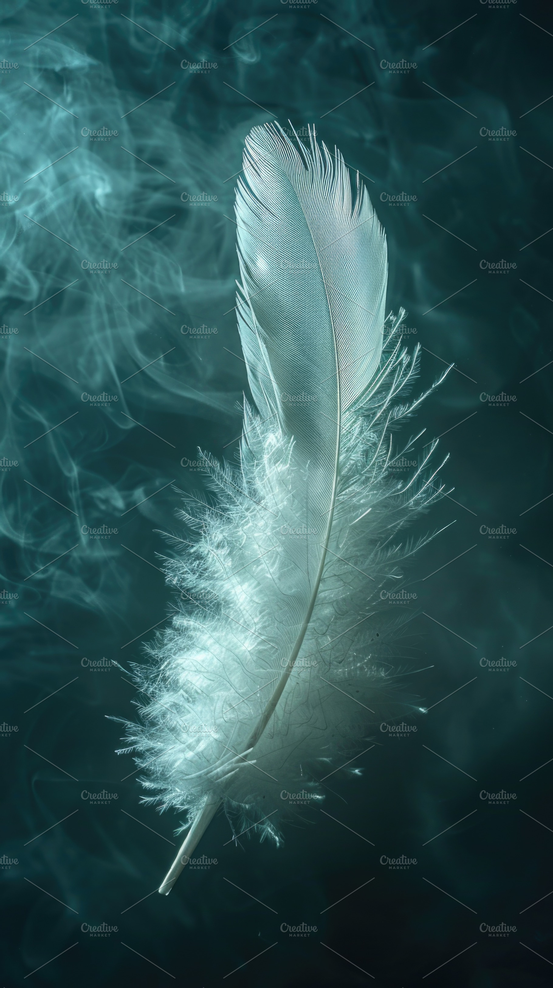 White Feather Floating in Smoky Dark Teal Background, a Background Photo by José Manuel Gelpi