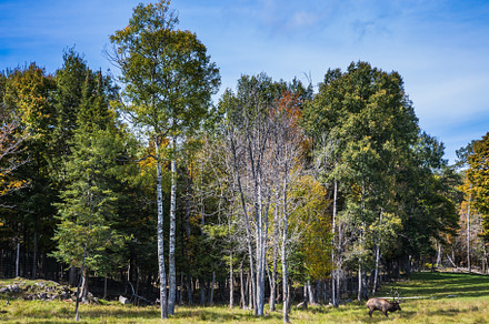 Perfect sunny day, a Nature Photo by kavram