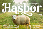Hasbor Modern Alternate Serif Font, a Serif Font by AmorfaType (Thumbnail 1 of 11)