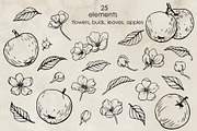 Apple blossom & fruit. Vector set, a Decorative Illustration by ON_lineart_store (Thumbnail 3 of 12)
