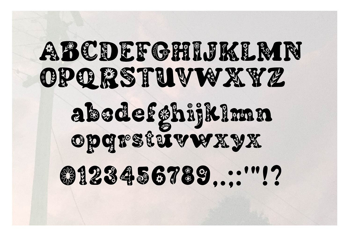 Bouquet, a Font by Rashdrawn (Photo 2 of 3)
