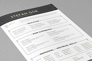 Retro Resume, a Resume Template by sz81 (Thumbnail 1 of 4)