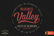GREY WOLF - Vector illustration, an Animal Illustration by Artistic & Unique (Thumbnail 6 of 12)