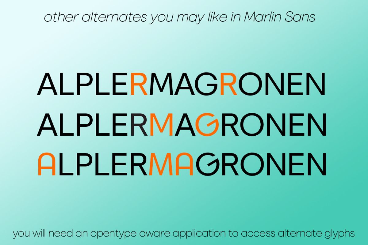 Marlin Sans SQ Upright Italic+Slant, a Font by FontMesa (Photo 8 of 10)