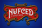 Nufced Typeface, a Serif Font by Twicolabs Fontdation (Thumbnail 2 of 9)