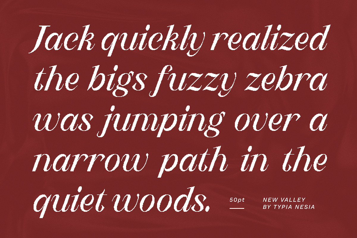 New Valley - Pixelate Italic Serif, a Serif Font by Typia Nesia (Photo 4 of 15)
