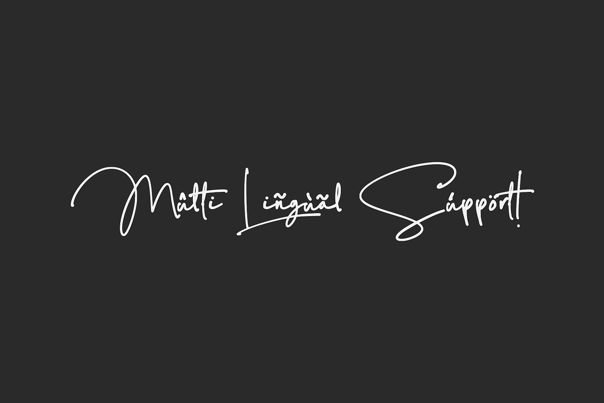 Austin - Stylish Signature Font, a Script Font by alphArtype (Photo 8 of 9)