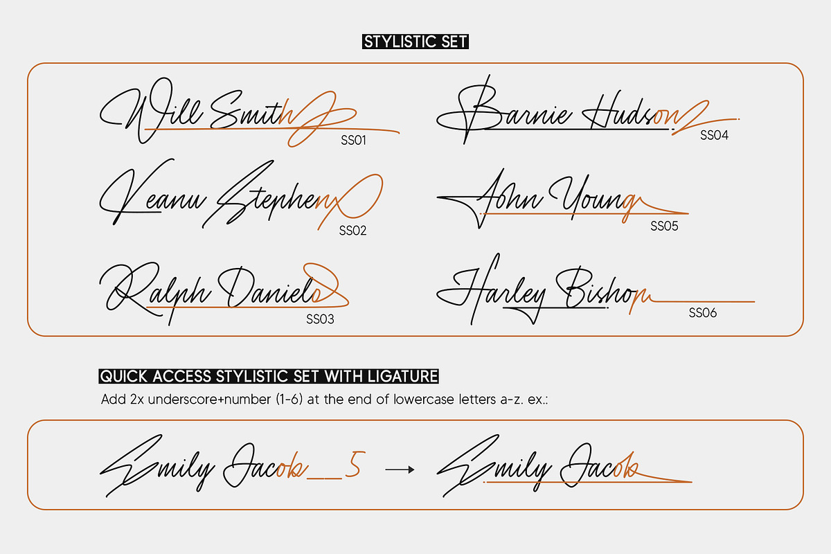 Sinatra | Monoline Signature, a Script Font by Lemonthe (Photo 7 of 9)