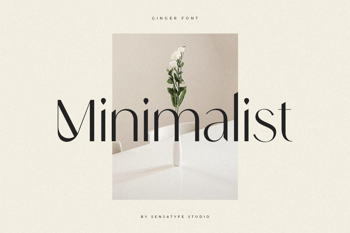 Ginger - Modern Stylish Font, a Sans Serif Font by Sensatype (Photo 7 of 20)