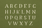 Meadow & Villager Club - Font Duo, a Handwritten Font by Lettertype Studio (Thumbnail 9 of 14)
