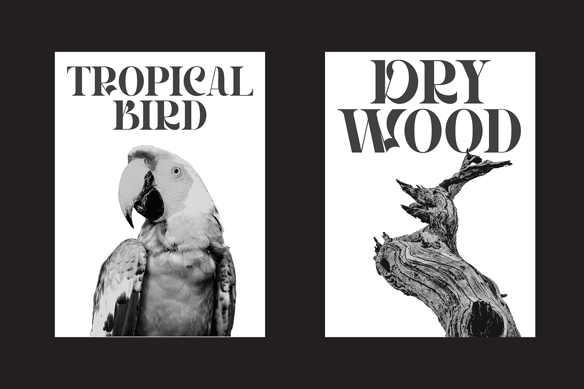 Hegarown Display Serif Font, a Serif Font by Randi Irvan | Rvandtype (Photo 4 of 16)
