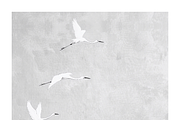 Gret Collection · Egrets in Flight, an Animal Illustration by milatovar (Thumbnail 16 of 17)