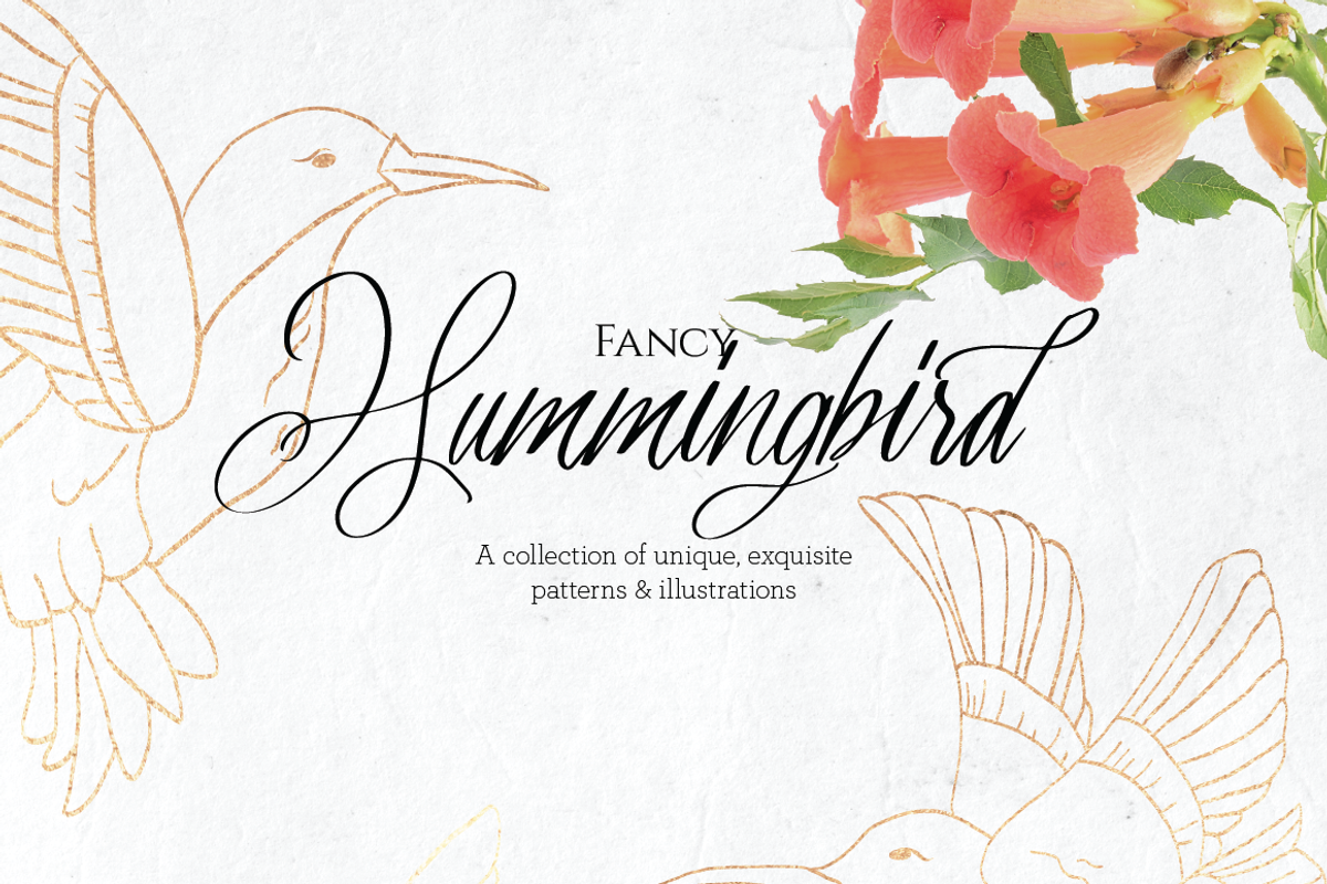 Fancy Hummingbird Collection, a Texture Illustration by DesignsByMissM (Photo 1 of 4)