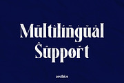 Aesthico Serif Font Family (6 Fonts), a Serif Font by Heinzel Std (Thumbnail 14 of 21)