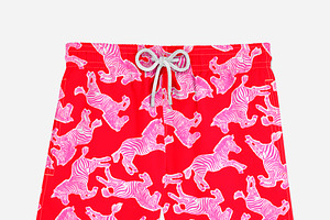 Preppy Pink And Red Zebra Pattern