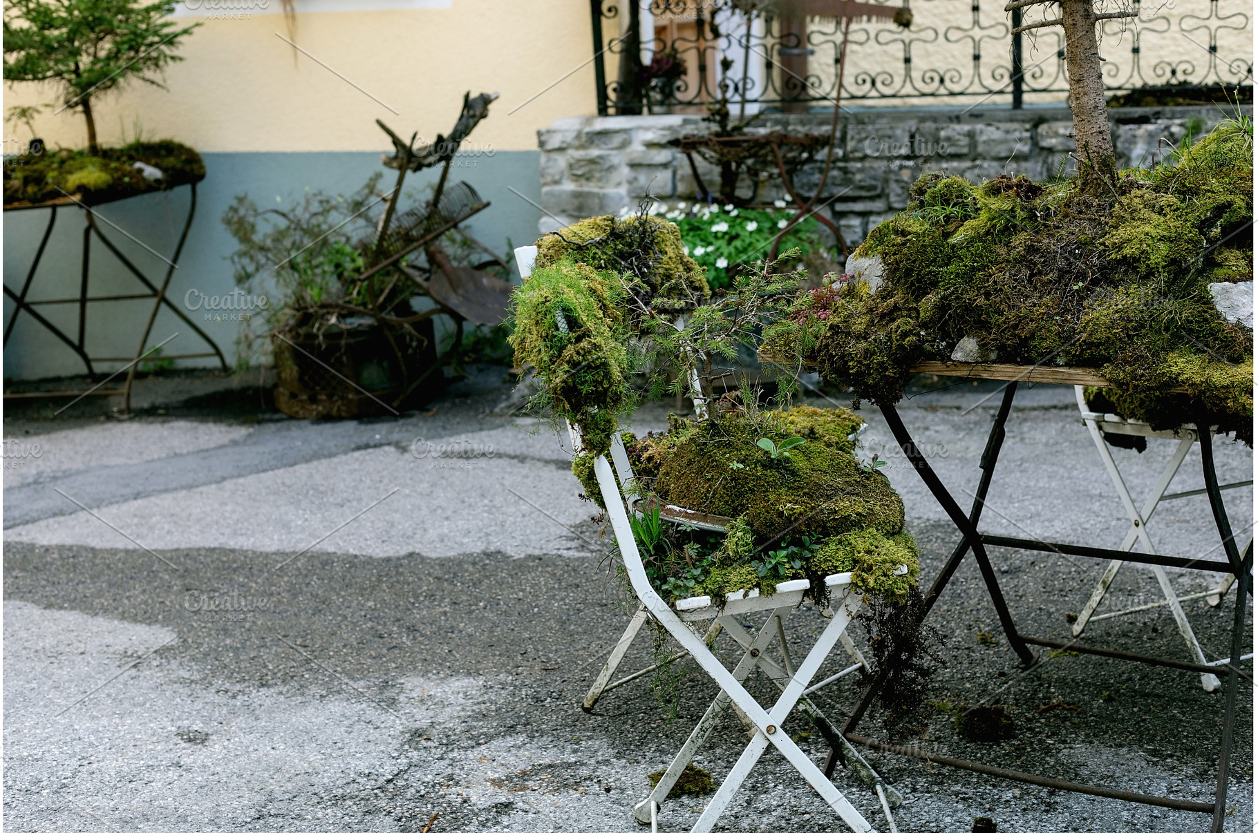Moss Covered Chairs in Garden, a Nature Photo by Natasha Breen