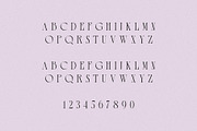 Melted Etoile - Chic Ligature Serif, a Serif Font by Mikhail Fukurou (Thumbnail 7 of 8)