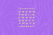 MWM Bones, a Font by mikewillsmakes (Thumbnail 2 of 5)